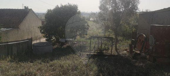 1 bedroom House in Entroncamento, Portugal No. 182744 4