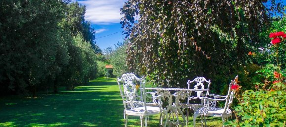 8 rooms Villa in Bardolino, Italy No. 261320 6