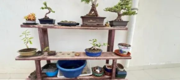 3 غرف نوم شقة في Aguilas, Spain رقم 144586 66