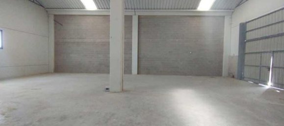 238m² Warehouse in Cartuja Baja, Spain No. 64938 8