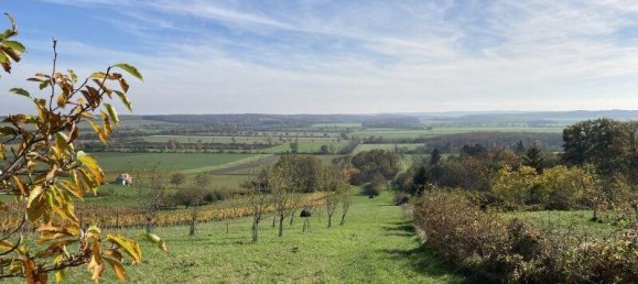 3-salle Maison à Rechnitz, Austria No. 14258 8