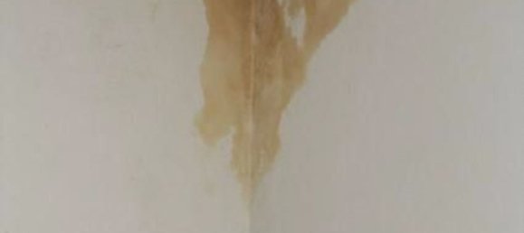 استوديو في Trezzo sull'Adda, Italy رقم 14079 13