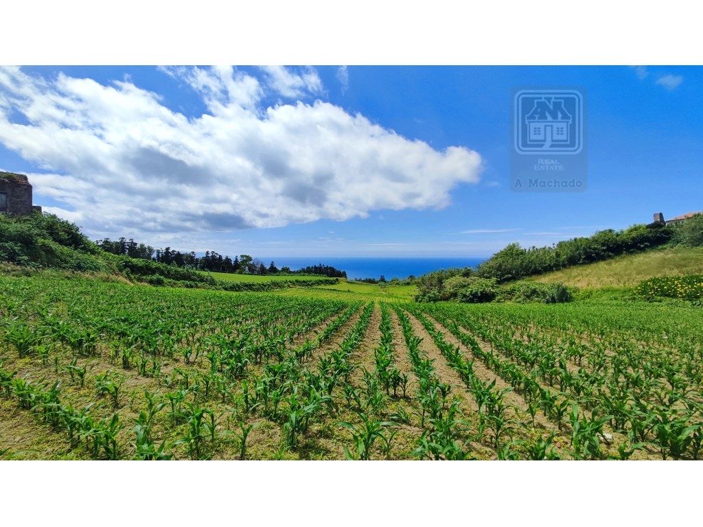  قطعة أرض في Ribeira Grande, Portugal 5680متر مربع رقم 243389