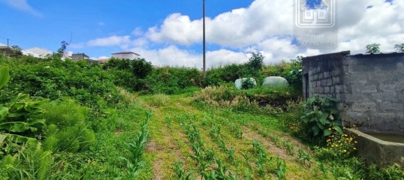 Grundstück in Ribeira Grande, Portugal 5680m², Nr. 243389 9