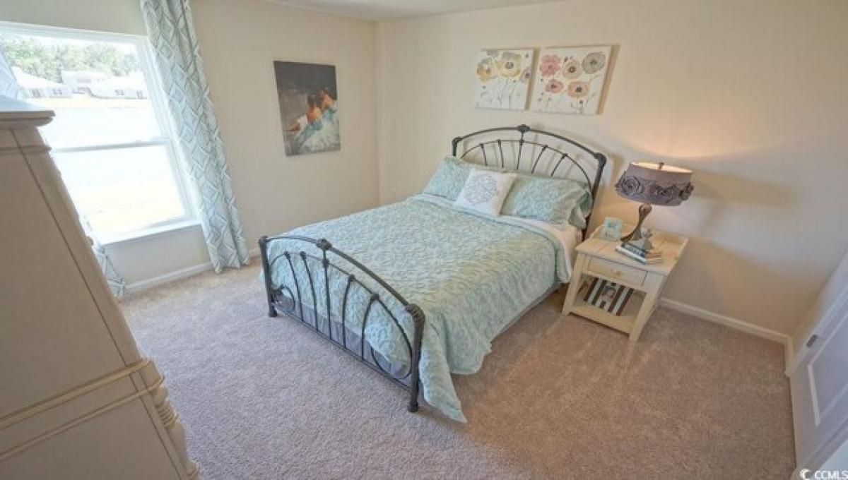 4 bedrooms House in Conway, USA No. 421866