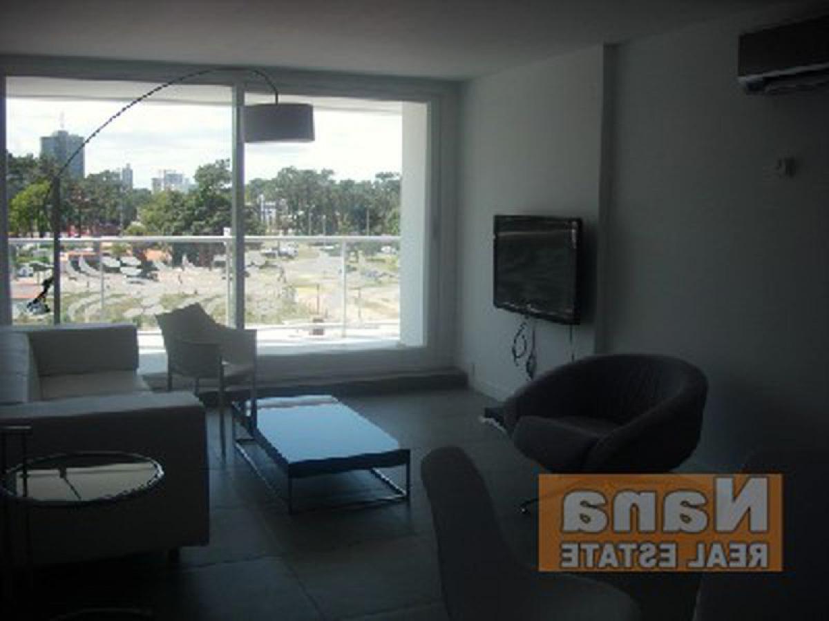 Studio in Maldonado, Uruguay No. 10506