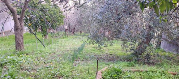 5 rooms Apartment in Ortona, Italy No. 39390 32