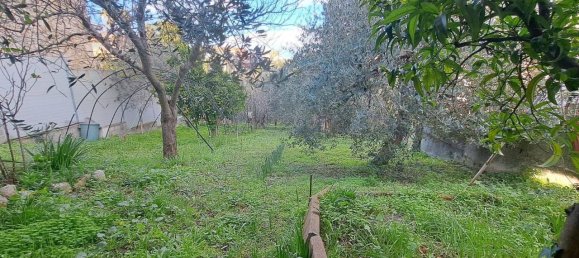 5 rooms Apartment in Ortona, Italy No. 39390 35