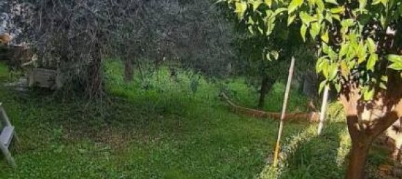 5 rooms Apartment in Ortona, Italy No. 39390 34