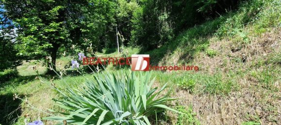 Casa de 10 habitaciónes en Pescaglia, Italy No. 15653 15
