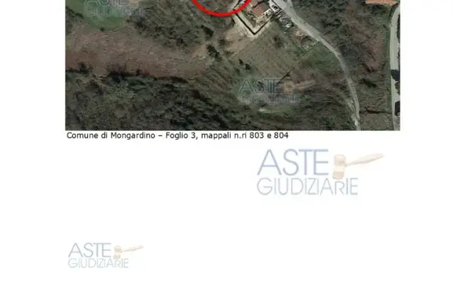 4911m² Land in Mongardino, Italy No. 300634