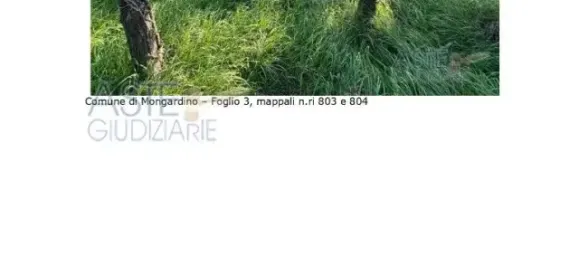 4911m² Land in Mongardino, Italy No. 300634 4
