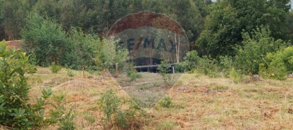  قطعة أرض في Tondela, Portugal 915متر مربع رقم 39429 5