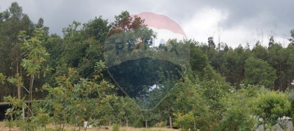  قطعة أرض في Tondela, Portugal 915متر مربع رقم 39429 2