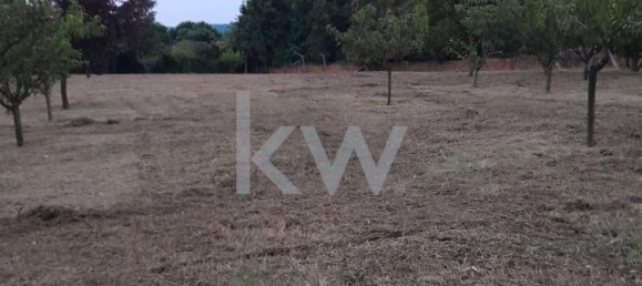 7 Schlafzimmer Haus in Oliveira de Azemeis, Portugal, Nr. 91895 24