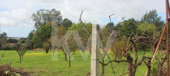 7 Schlafzimmer Haus in Oliveira de Azemeis, Portugal, Nr. 91895 7