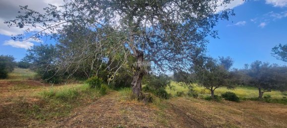 Terreno em Quelfes, Portugal 178 m² N.º 154335 21