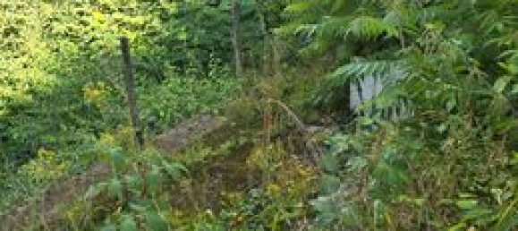 4 chambres Maison à Jura, France No. 302916 8