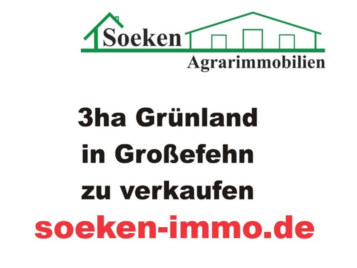 Земельный участок 30000м² в Аурих, Германия № 144100