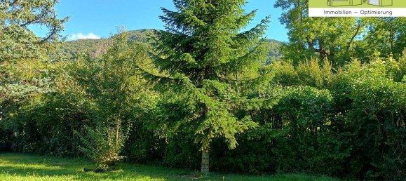 Grundstück in Altenmarkt an der Triesting, Austria, Nr. 260291 5