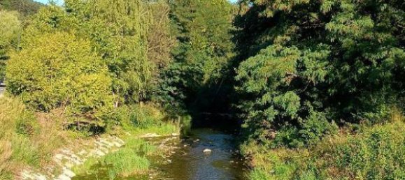 Grundstück in Altenmarkt an der Triesting, Austria, Nr. 260291 6