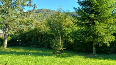 Grundstück in Altenmarkt an der Triesting, Austria, Nr. 260291