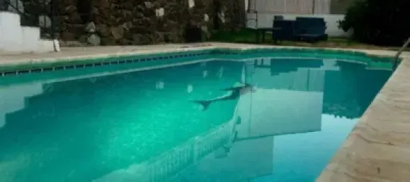 Villa T4 em Benahavis, Spain N.º 57393 18