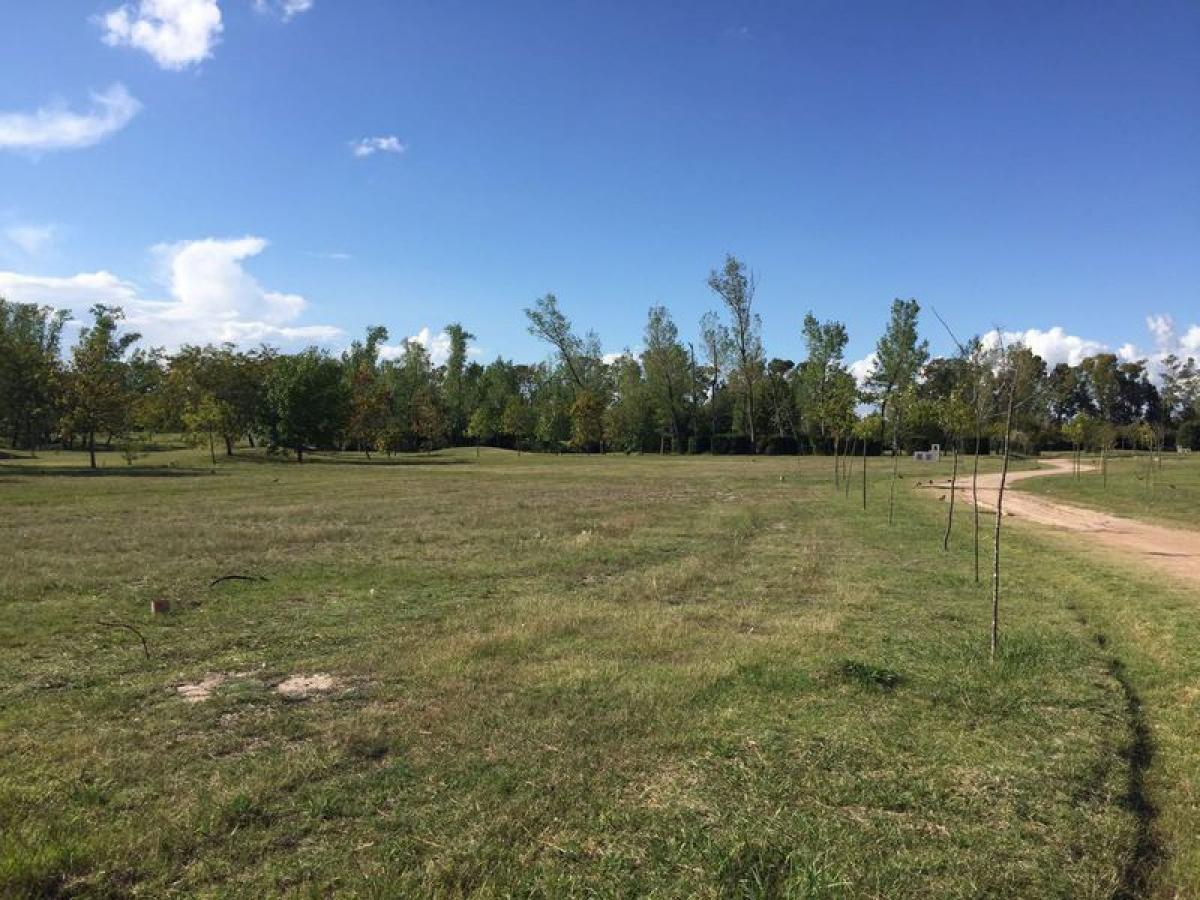 Terrain à Campo Creado, Argentina No. 43080