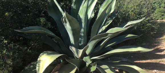 Квартира с 3 спальнями в Капальбио, Италия № 62401 24