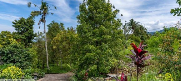  قطعة أرض في Lovina, Indonesia 1730متر مربع رقم 4522 4