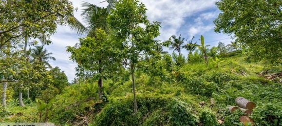  قطعة أرض في Lovina, Indonesia 1730متر مربع رقم 4522 3