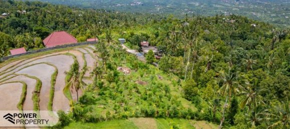  قطعة أرض في Lovina, Indonesia 1730متر مربع رقم 4522 14