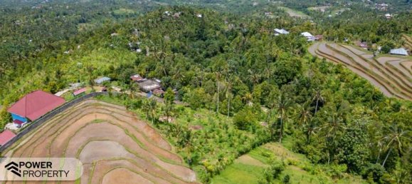  قطعة أرض في Lovina, Indonesia 1730متر مربع رقم 4522 13