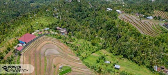  قطعة أرض في Lovina, Indonesia 1730متر مربع رقم 4522 12