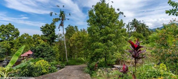  قطعة أرض في Lovina, Indonesia 1730متر مربع رقم 4522 5