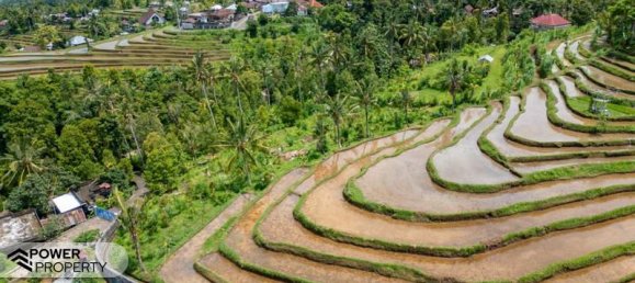  قطعة أرض في Lovina, Indonesia 1730متر مربع رقم 4522 15