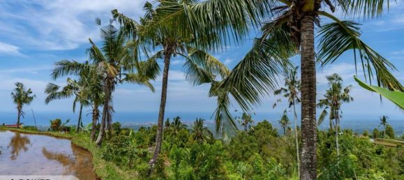  قطعة أرض في Lovina, Indonesia 1730متر مربع رقم 4522 9