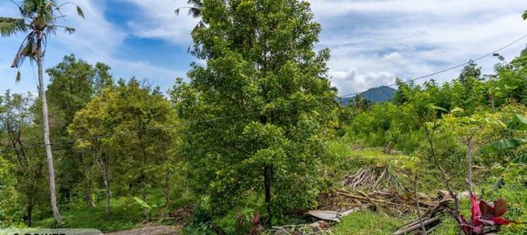  قطعة أرض في Lovina, Indonesia 1730متر مربع رقم 4522 7