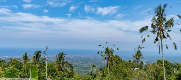  قطعة أرض في Lovina, Indonesia 1730متر مربع رقم 4522 8