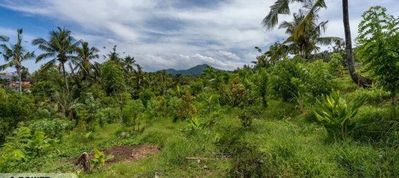  قطعة أرض في Lovina, Indonesia 1730متر مربع رقم 4522 6