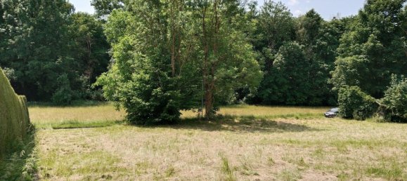  Land in Wilhering, Austria No. 226087 2