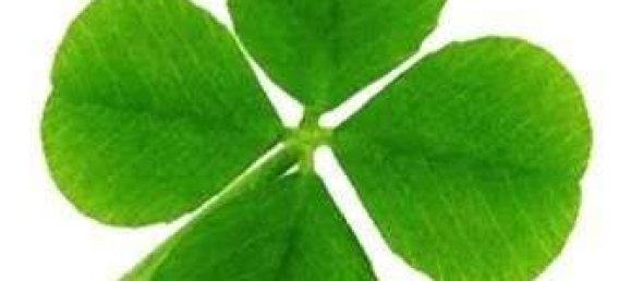 Apartamento de 2 habitaciónes en Frankfurt am Main, Germany No. 74061 25