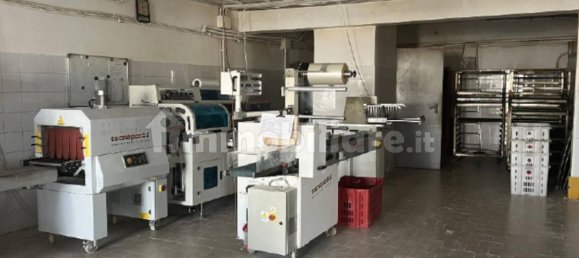 1398m² Warehouse in Orvieto, Italy No. 354757 12