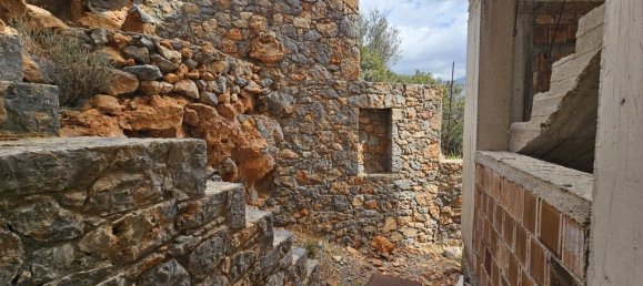3 غرف نوم فيلا في Lasithi, Greece رقم 4204 14