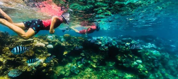 20 غرف نوم قطعة أرض في Port-Vila, Vanuatu رقم 32 6