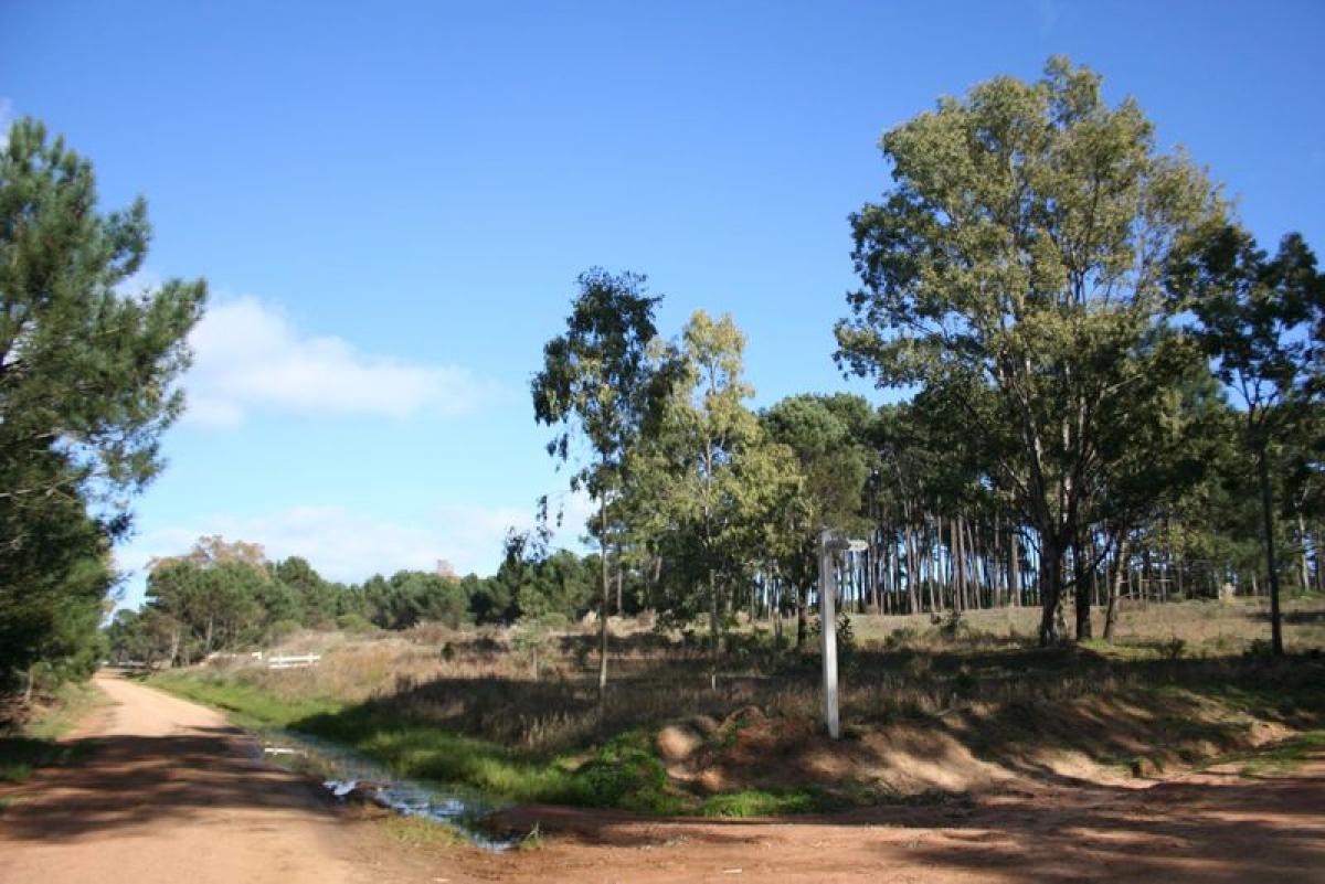 Grundstück in Maldonado, Uruguay, Nr. 16089