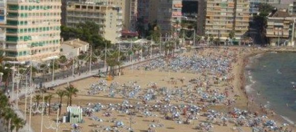 2 bedrooms Apartment in Benidorm, Spain No. 789 2