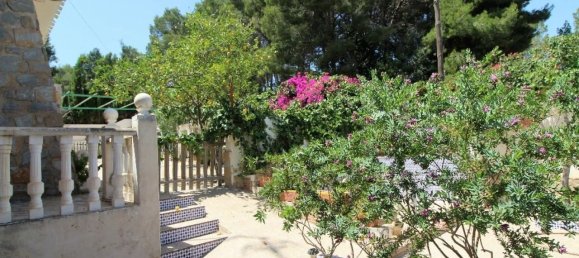 5 غرف نوم منزل في Torrevieja, Spain رقم 188312 66