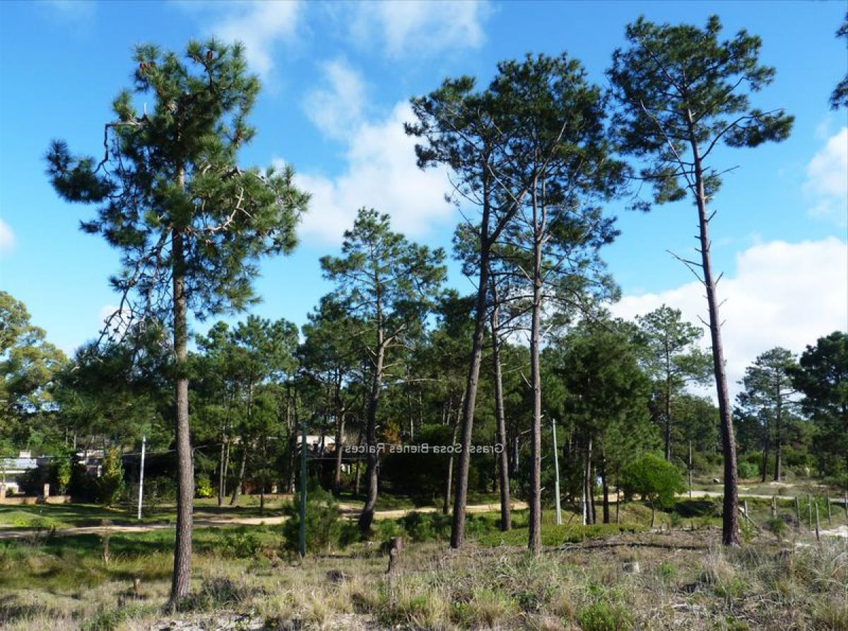  Land in Canelones, Uruguay No. 14380