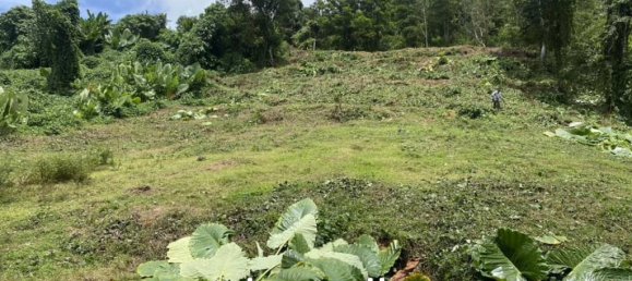  Commercial property in Mai Khao, Thailand No. 23415 4